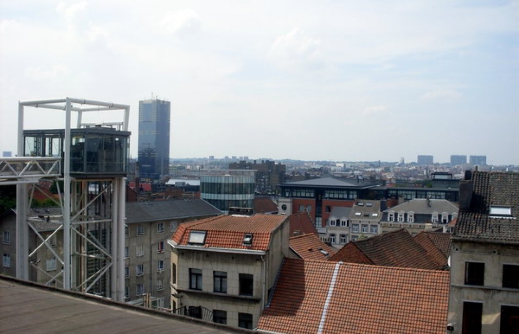 SDC11503.jpg